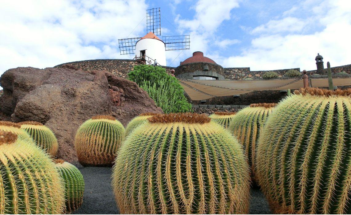 Vue du Jardin de Cactus à Lanzarote